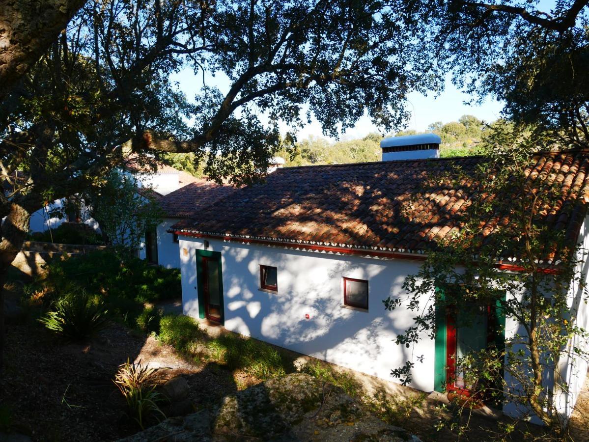 Serra Vida - A Place Of Presence Santo António das Areias Eksteriør billede
