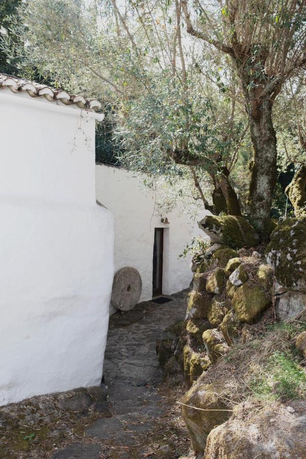 Serra Vida - A Place Of Presence Santo António das Areias Eksteriør billede
