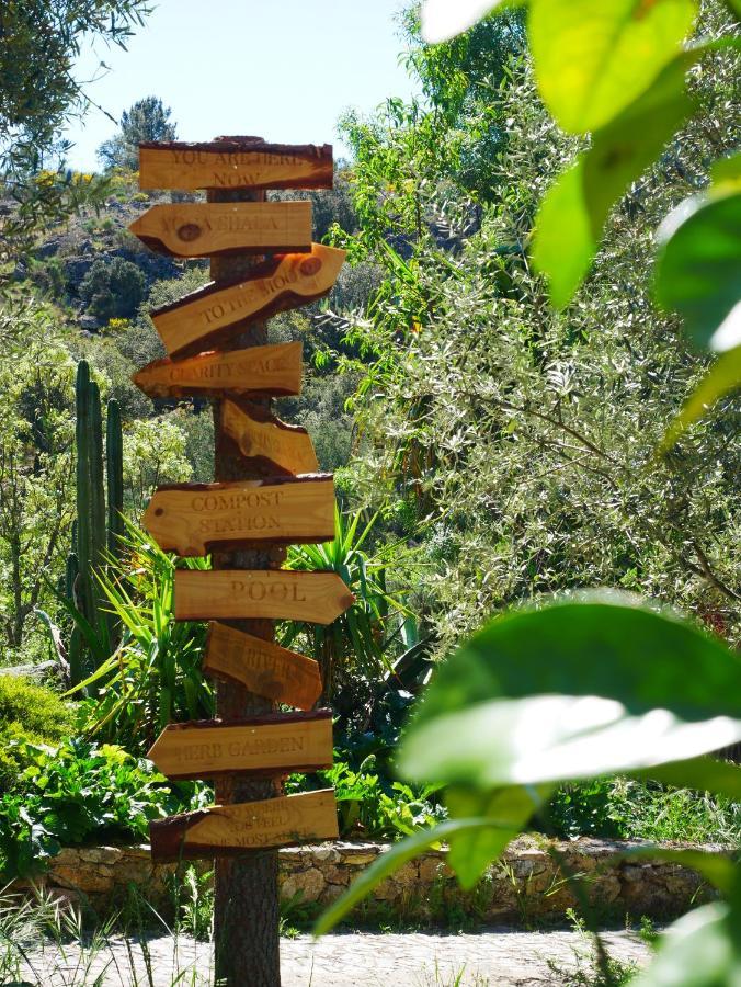 Serra Vida - A Place Of Presence Santo António das Areias Eksteriør billede