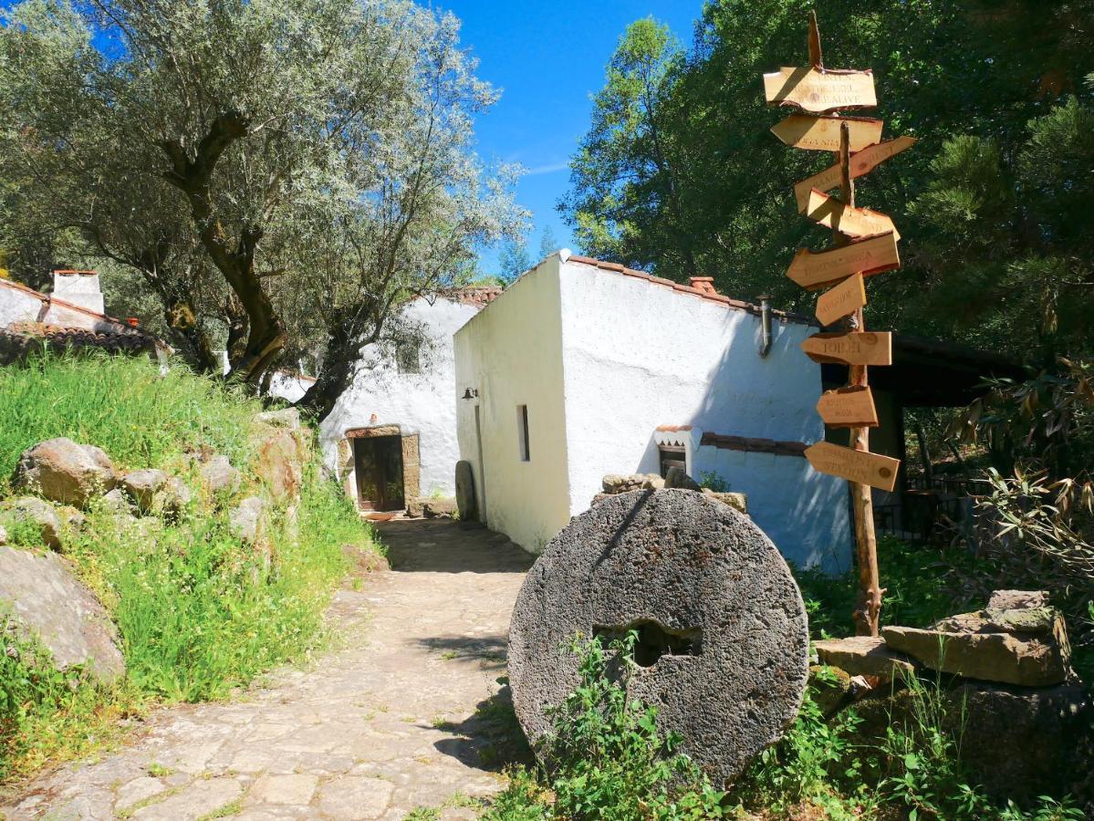 Serra Vida - A Place Of Presence Santo António das Areias Eksteriør billede