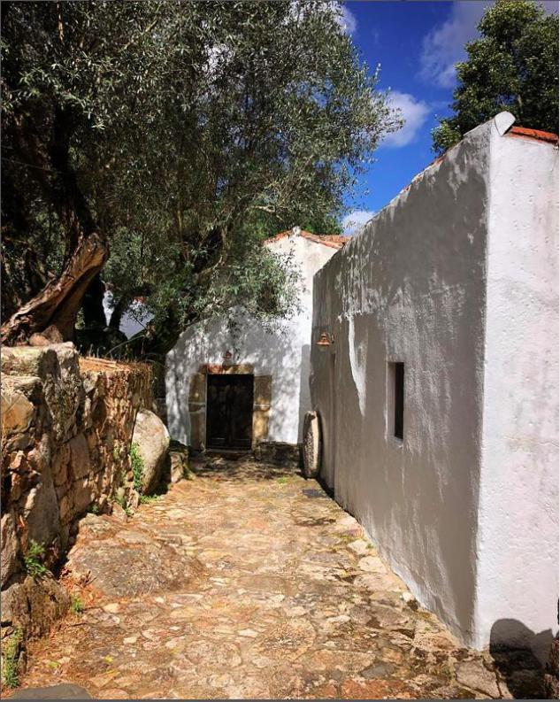 Serra Vida - A Place Of Presence Santo António das Areias Eksteriør billede